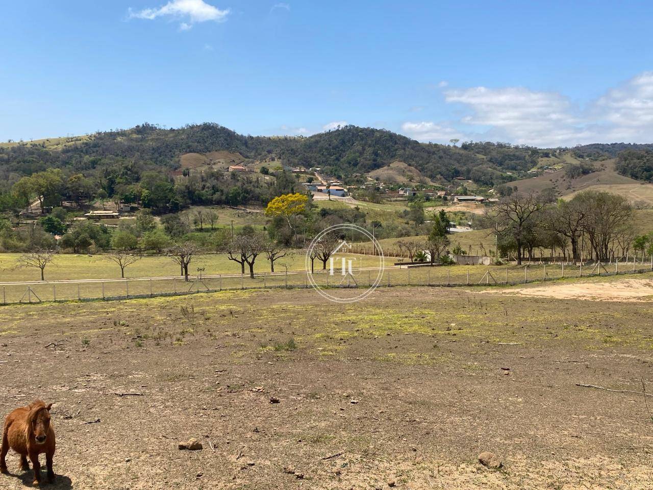 Terreno, 2 hectares - Foto 13