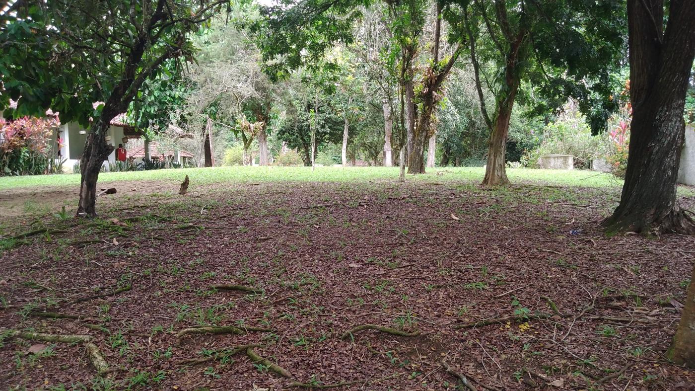 Sítio à venda, 10000m² - Foto 24