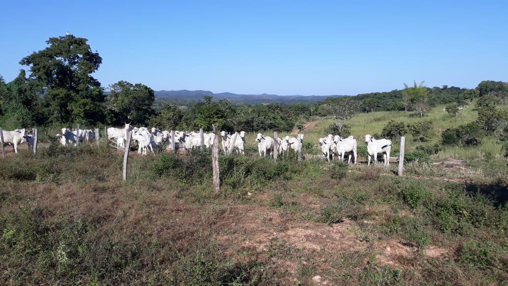 Chácara à venda com 3 quartos, 475m² - Foto 26