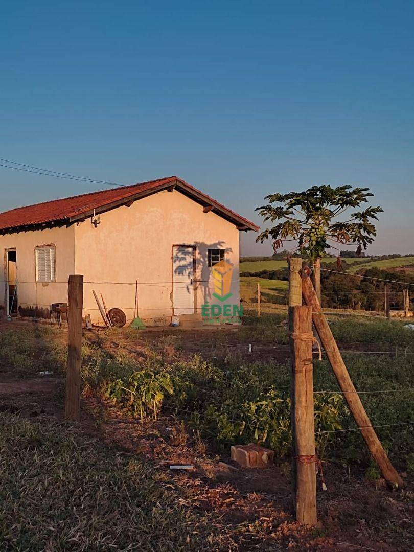 Sítio à venda com 2 quartos, 31000M2 - Foto 4