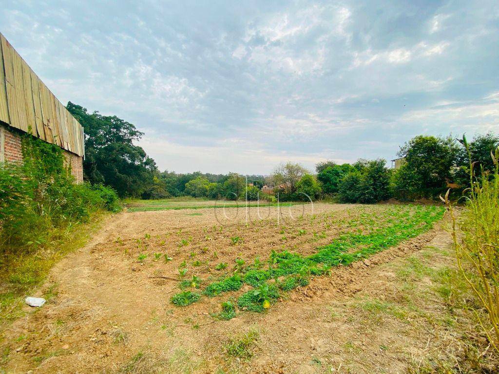 Terreno à venda, 10500M2 - Foto 7