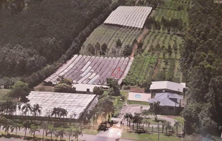 Sítio à venda com 5 quartos, 300m² - Foto 1