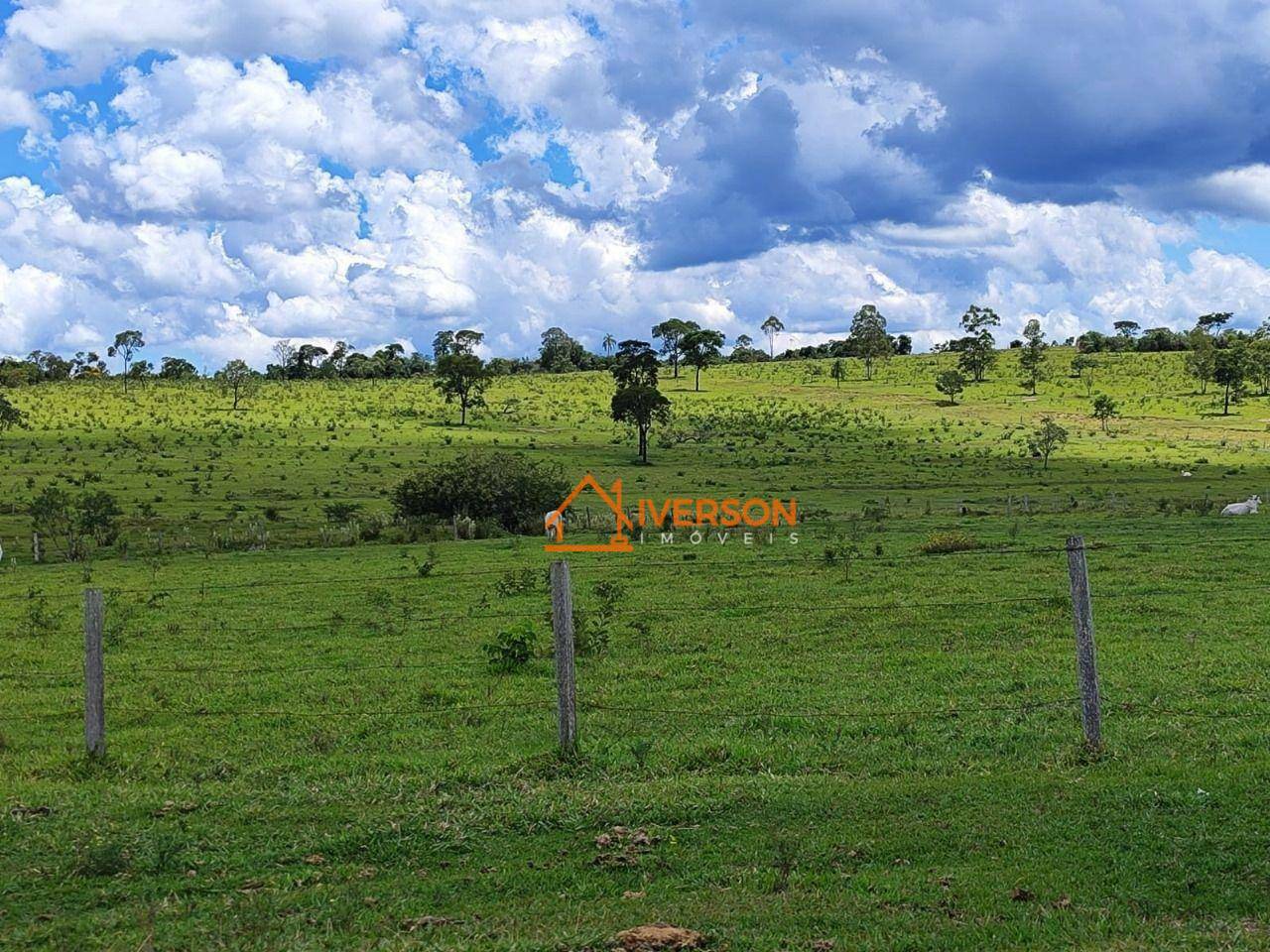 Fazenda à venda com 6 quartos, 1000m² - Foto 8