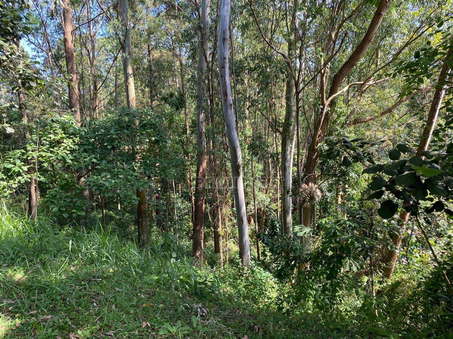 Loteamento e Condomínio à venda, 1137M2 - Foto 2