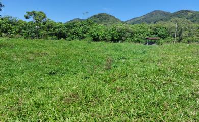 Fazenda à venda com 3 quartos, 30000m² - Foto 4