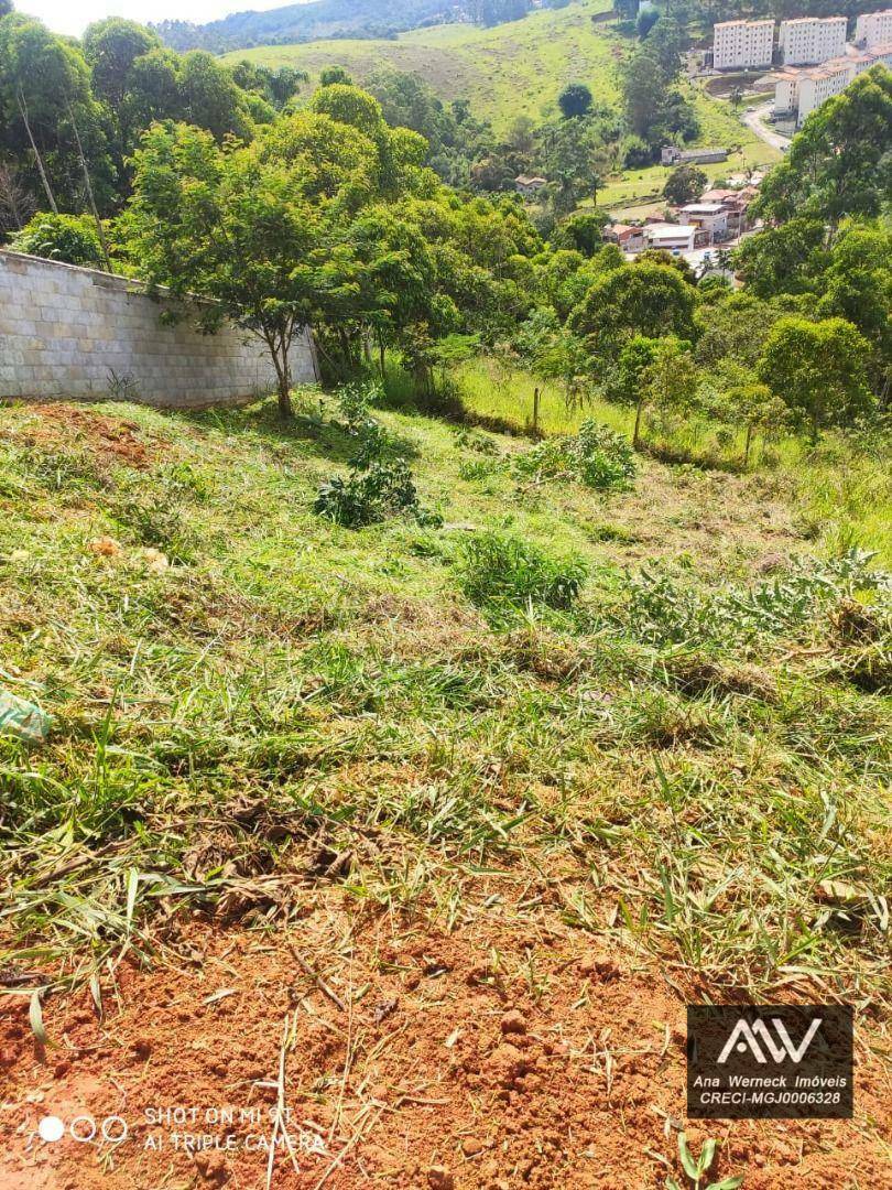 Loteamento e Condomínio à venda, 250M2 - Foto 4