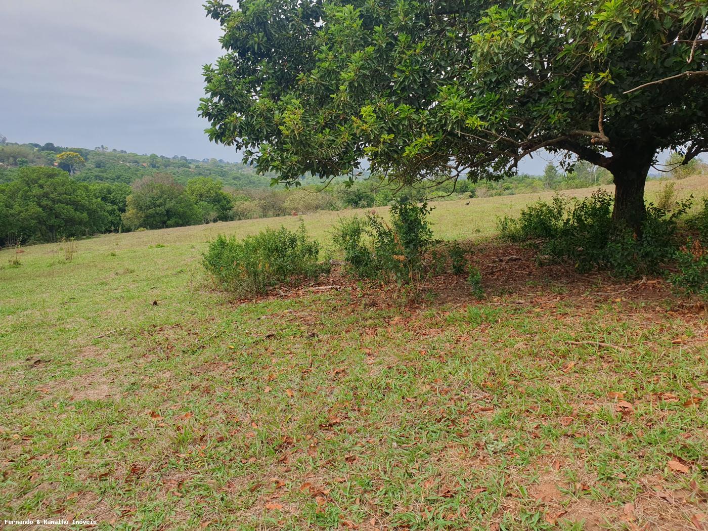 Fazenda à venda com 3 quartos, 80000m² - Foto 24