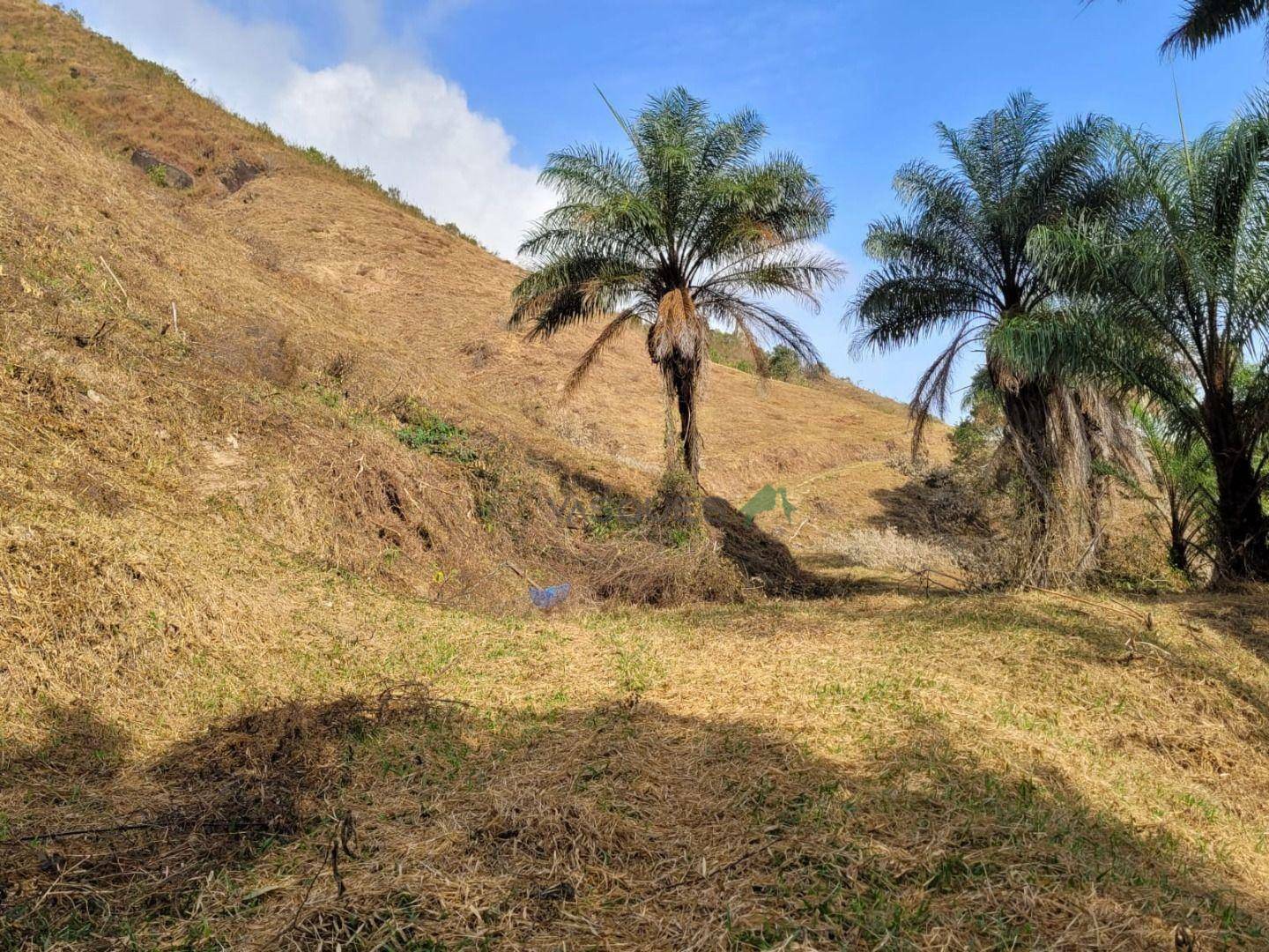 Fazenda à venda, 1292280M2 - Foto 22