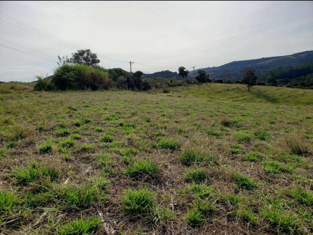 Terreno à venda, 55000M2 - Foto 5