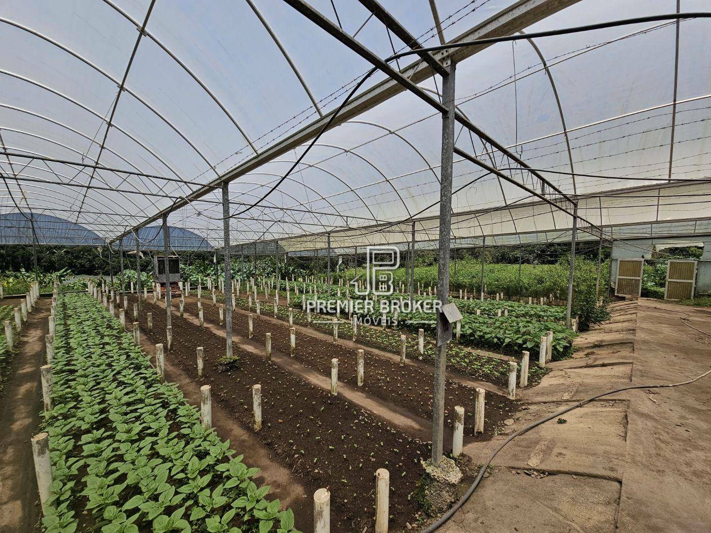Sítio à venda com 5 quartos, 2500m² - Foto 8