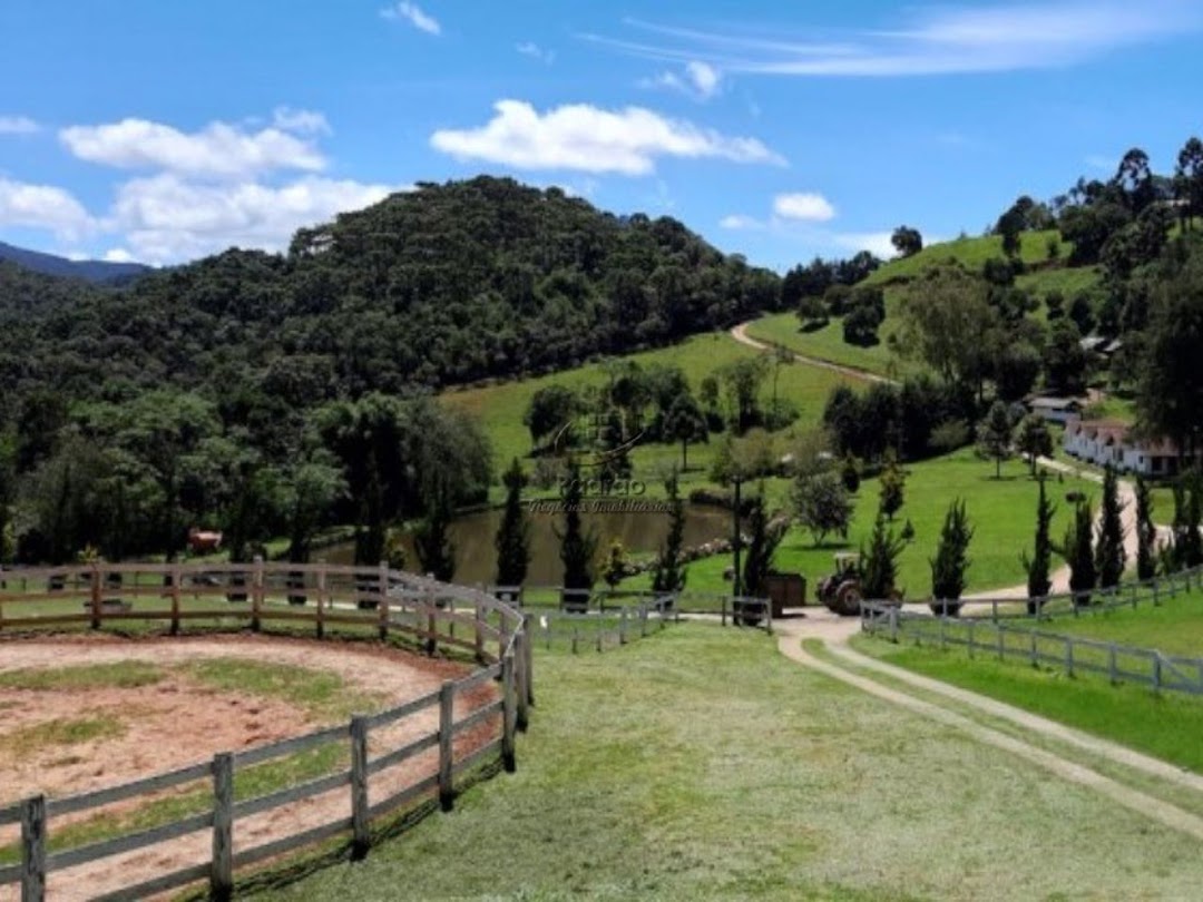 Fazenda à venda com 6 quartos, 1000m² - Foto 9