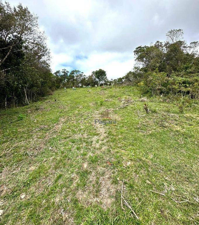 Terreno, 10 hectares - Foto 6