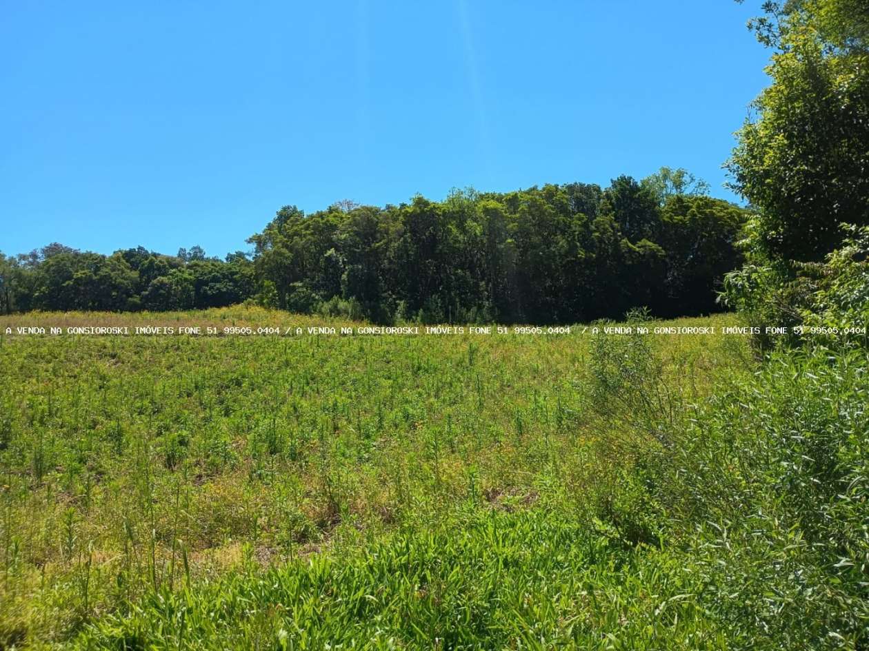 Sítio, 9 m² - Foto 14