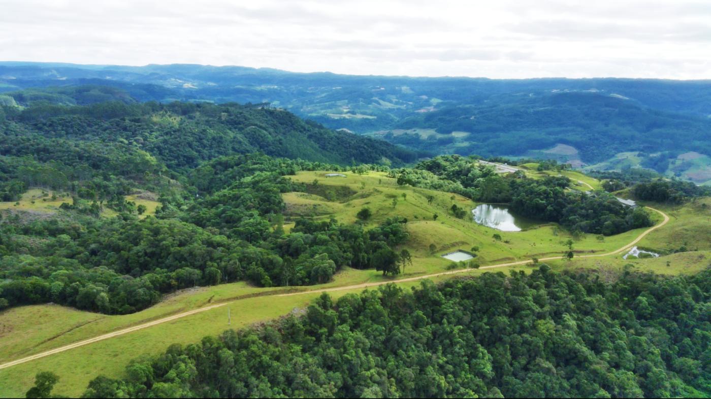 Fazenda à venda com 2 quartos, 862000m² - Foto 22