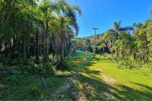 Chácara, 2 quartos, 5 hectares - Foto 4