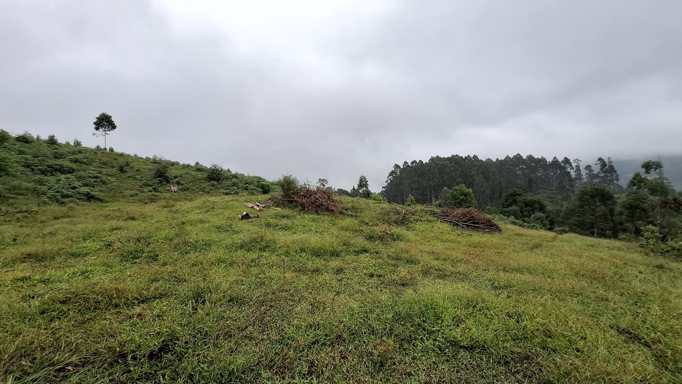 Sítio à venda, 248000m² - Foto 41