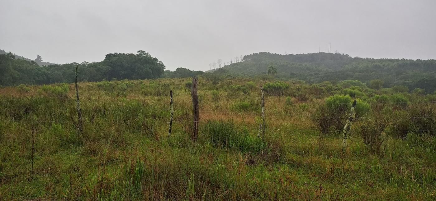 Loteamento e Condomínio à venda com 3 quartos, 70000m² - Foto 11