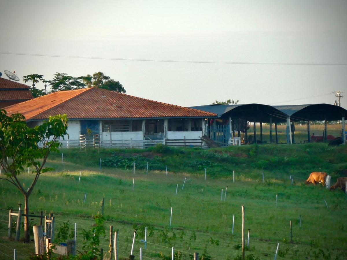 Fazenda à venda com 6 quartos, 320000m² - Foto 7