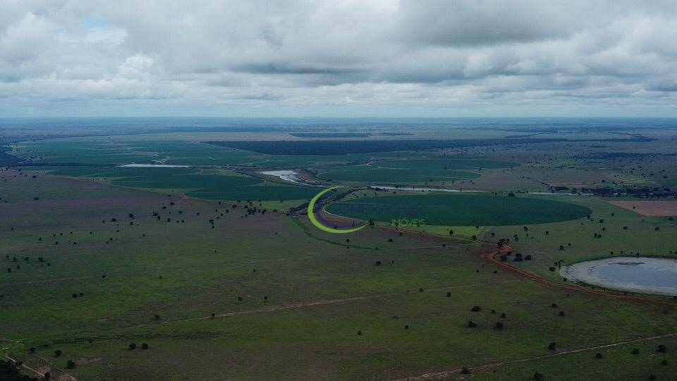 Fazenda à venda com 4 quartos, 56140000M2 - Foto 22