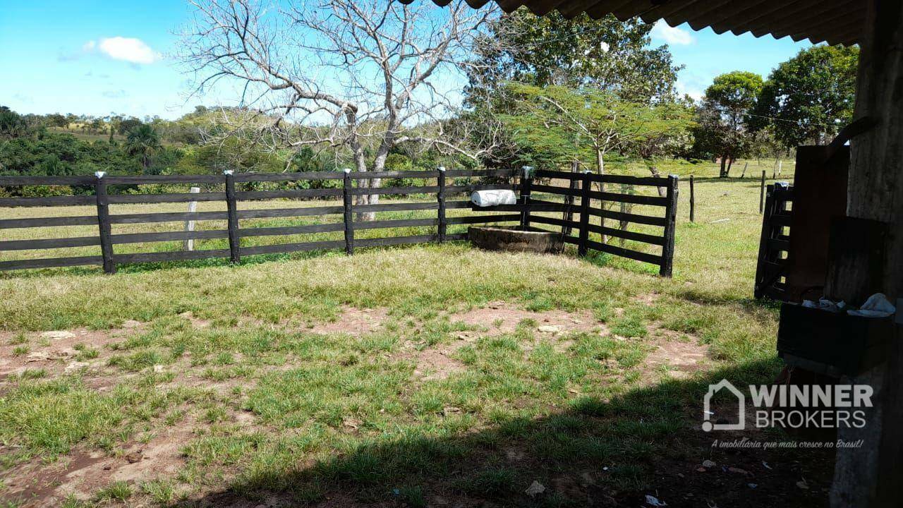 Fazenda à venda com 2 quartos, 4500000M2 - Foto 53