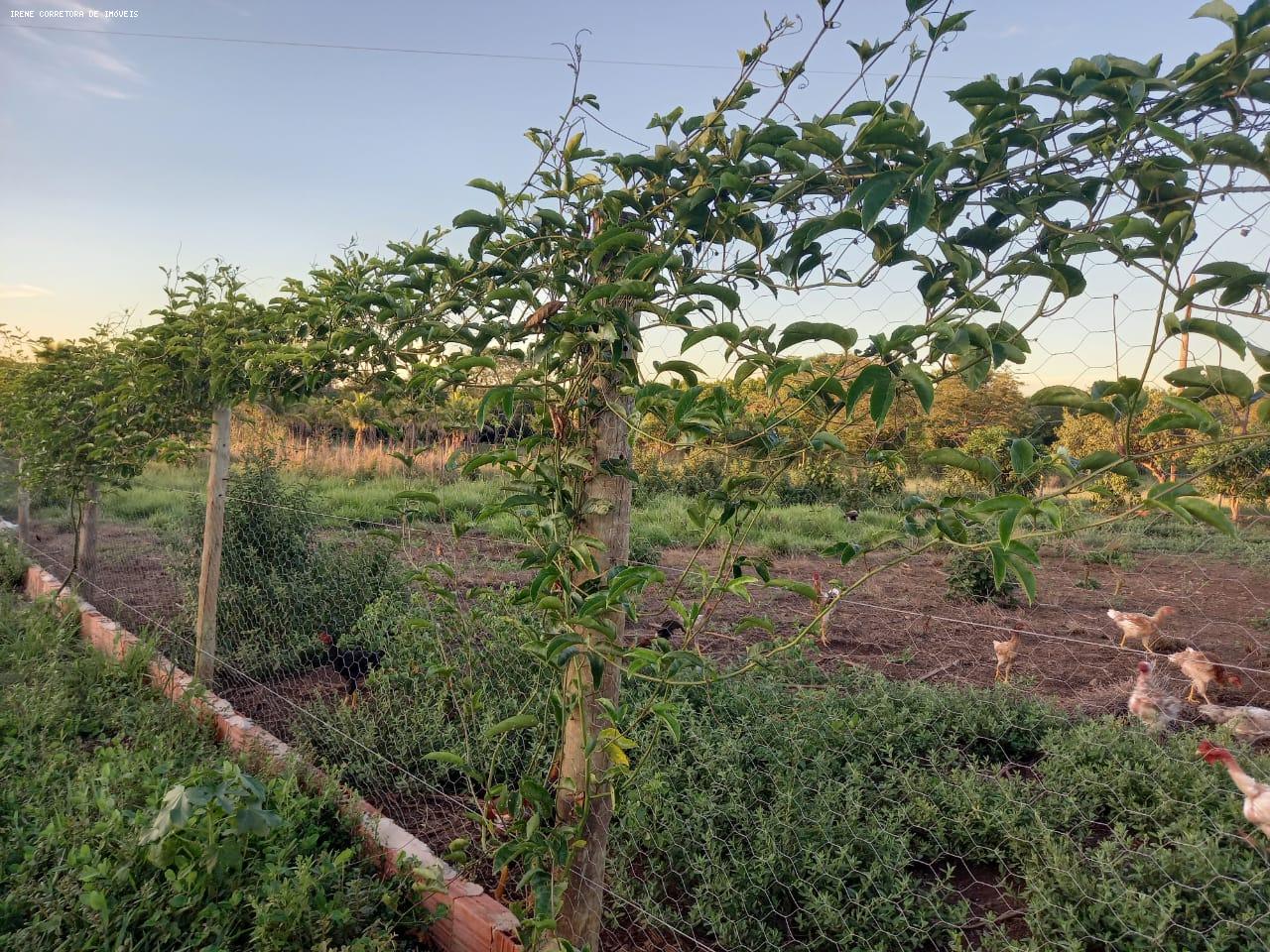 Fazenda à venda, 107000m² - Foto 6