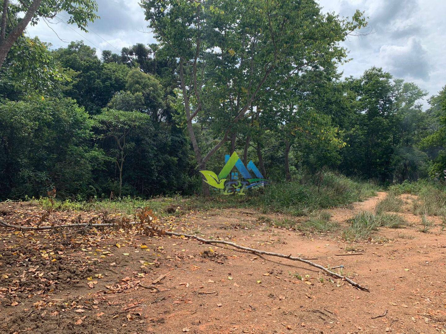 Terreno à venda, 3000M2 - Foto 4