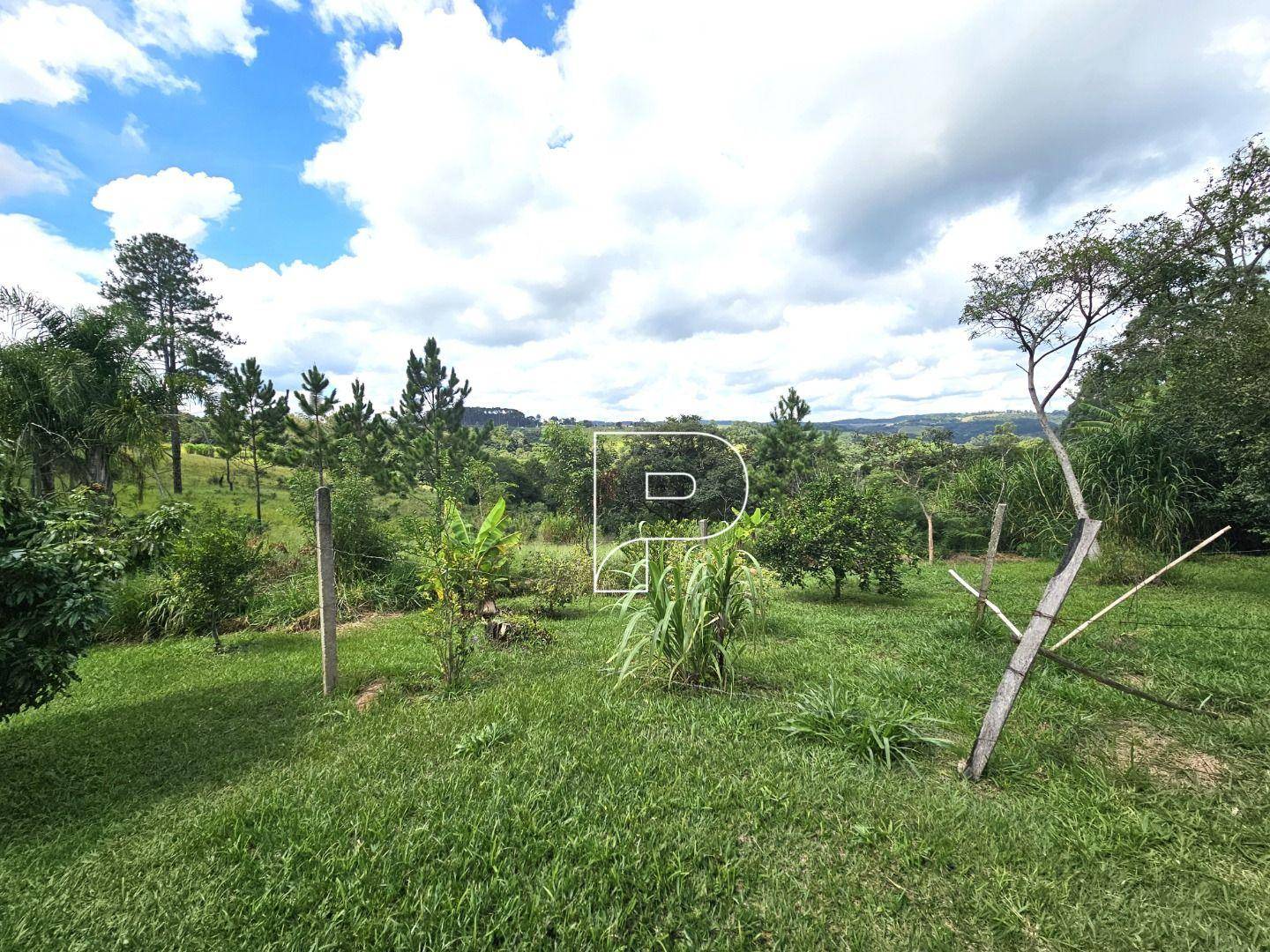 Terreno, 4 hectares - Foto 23