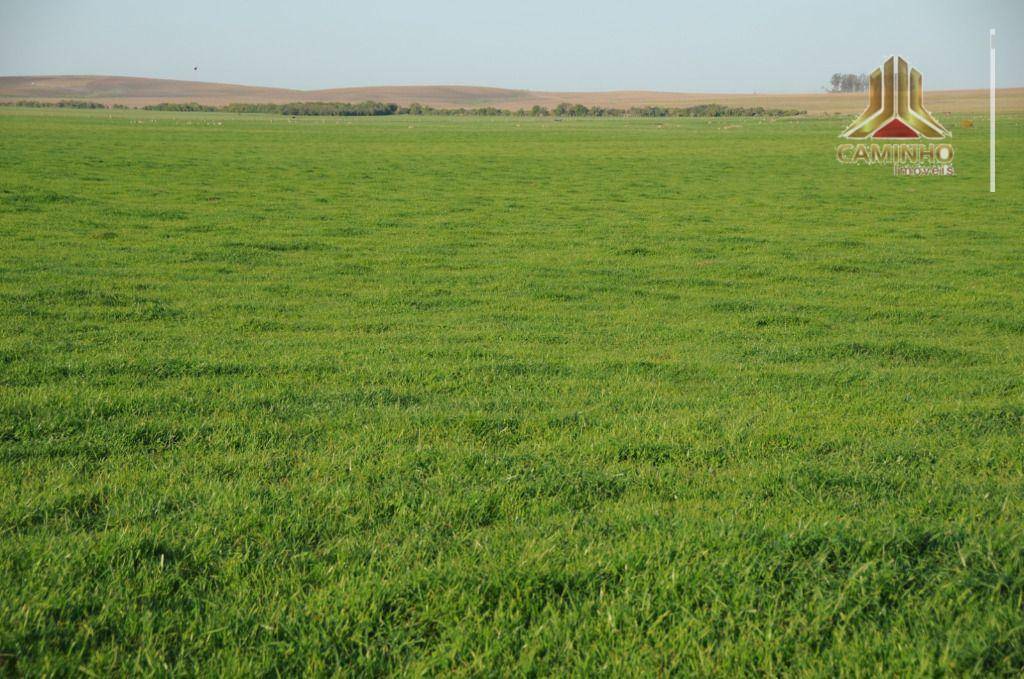 Fazenda à venda com 5 quartos, 33455000M2 - Foto 41