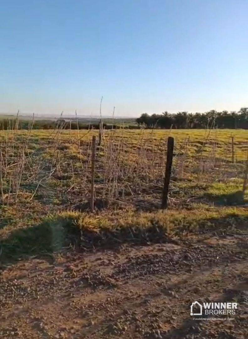 Chácara, 2 hectares - Foto 2