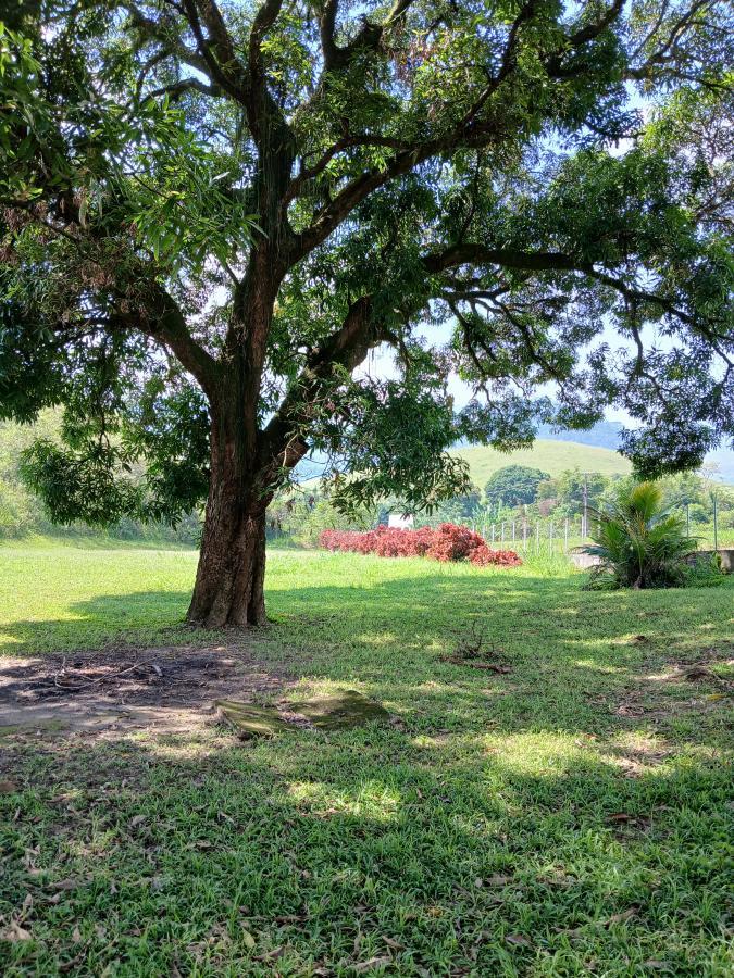 Fazenda à venda com 3 quartos, 26000m² - Foto 9