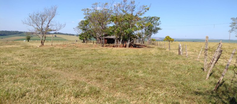 Fazenda, 108 hectares - Foto 10
