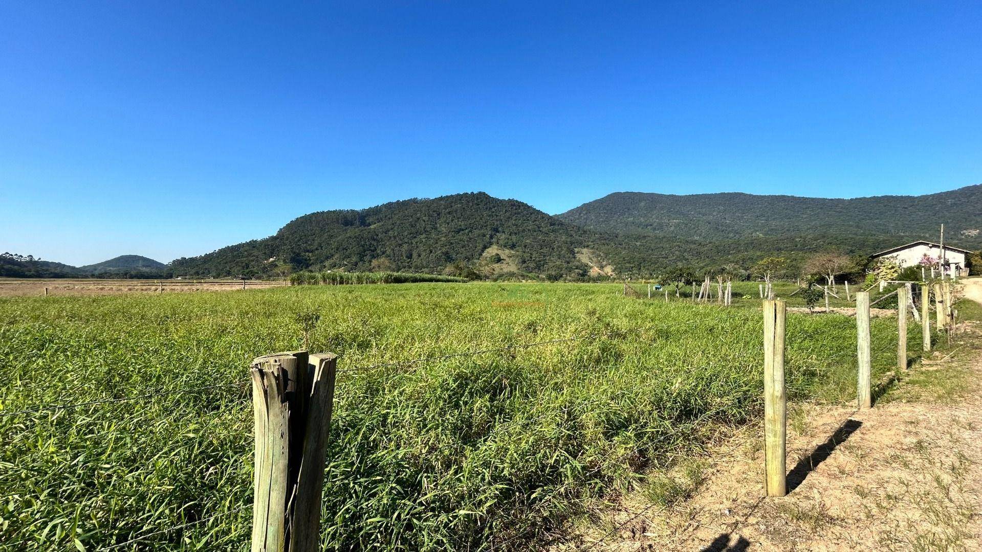 Terreno, 27 hectares - Foto 25