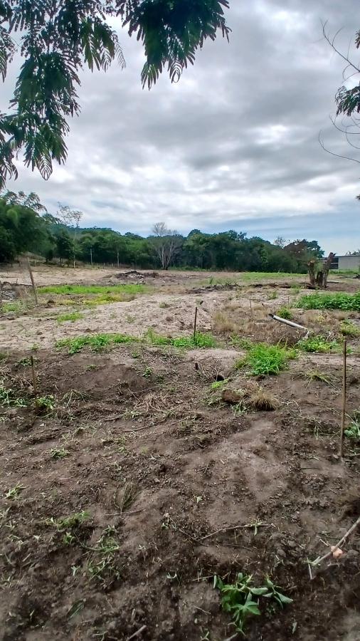 Fazenda à venda com 2 quartos, 31000m² - Foto 15