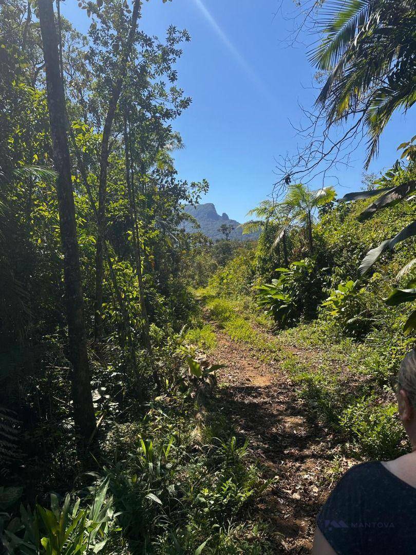 Terreno, 4 hectares - Foto 3