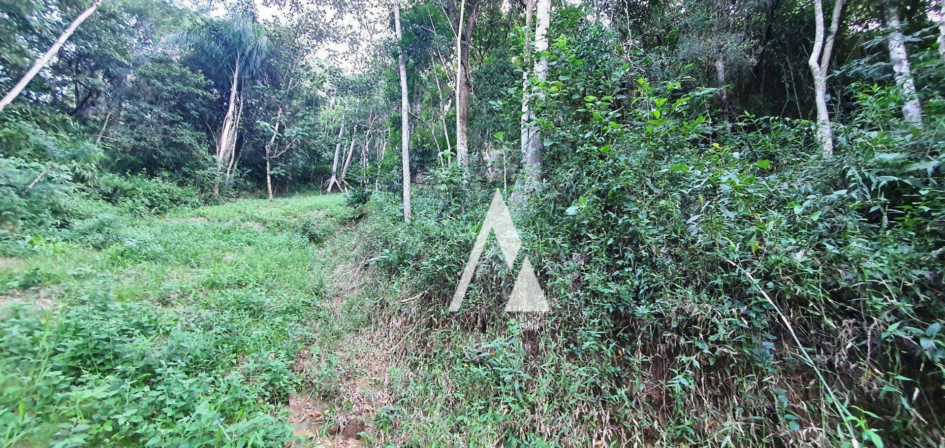 Loteamento e Condomínio à venda, 1884M2 - Foto 3