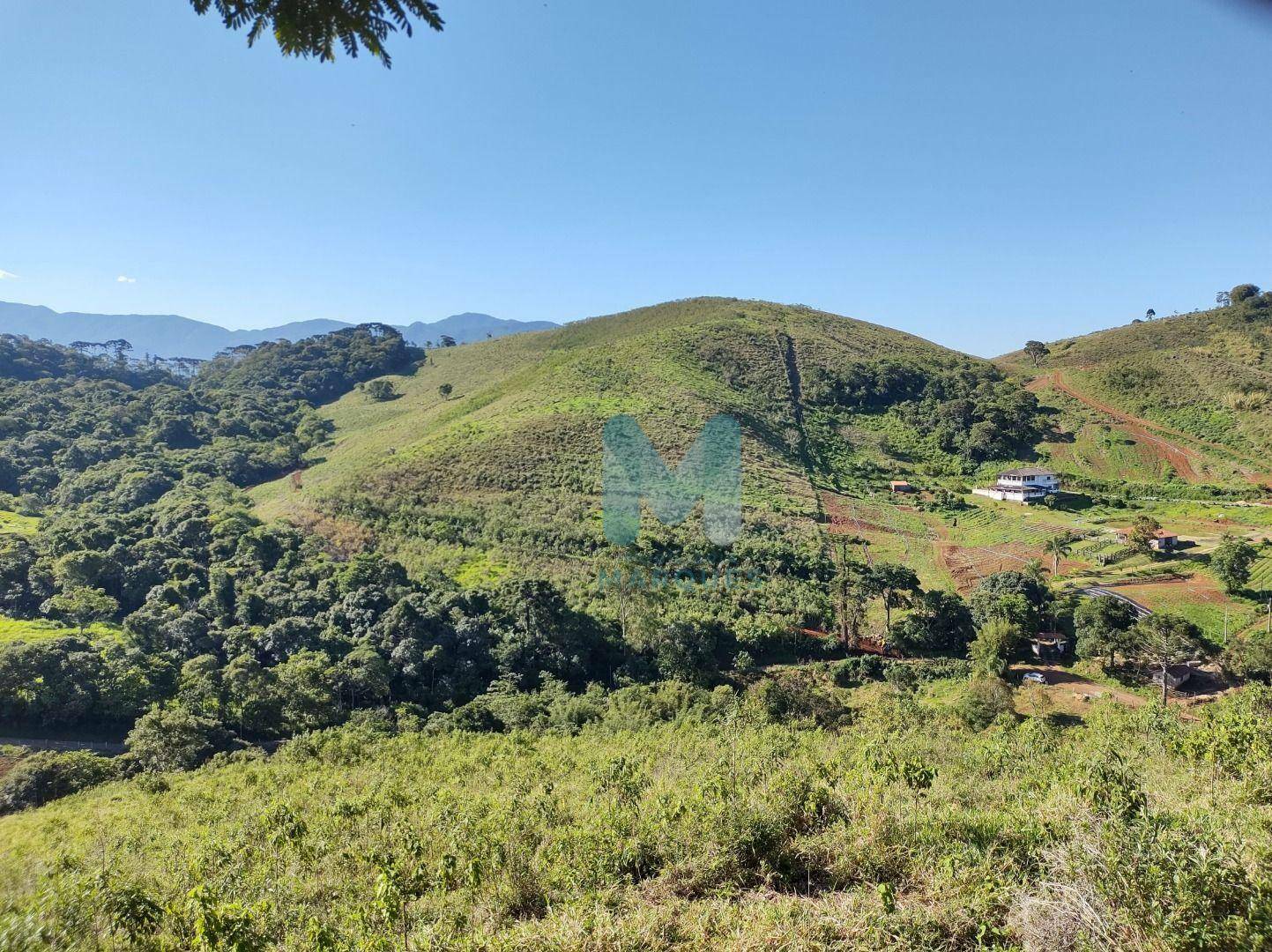 Terreno à venda, 86000M2 - Foto 3
