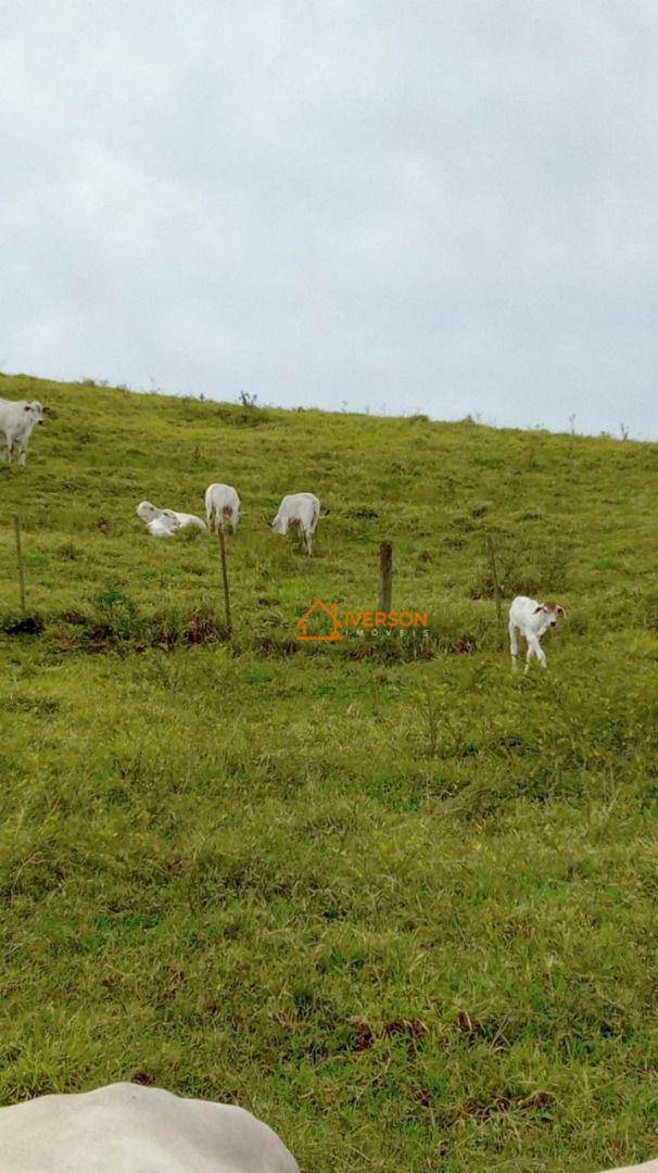 Fazenda à venda com 2 quartos, 2662000M2 - Foto 13