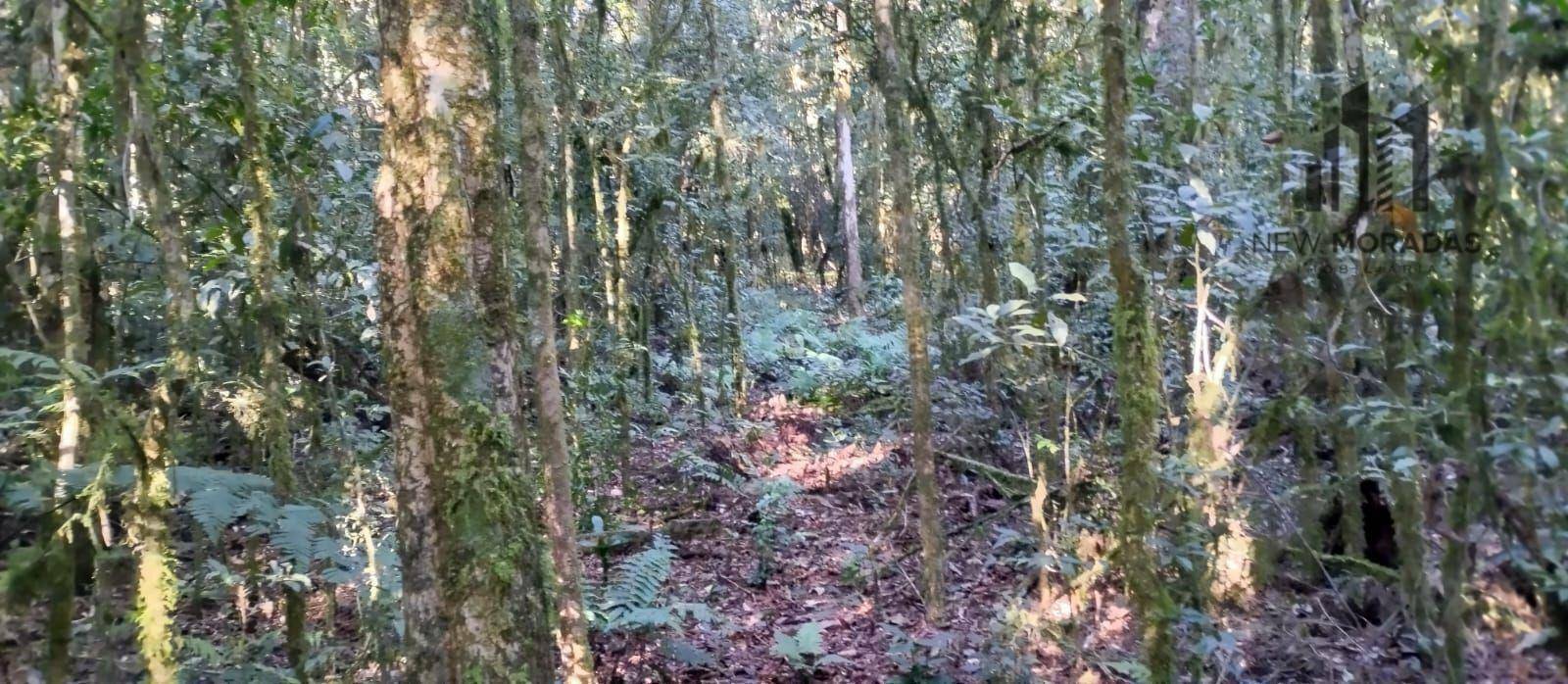 Terreno à venda, 23700M2 - Foto 9
