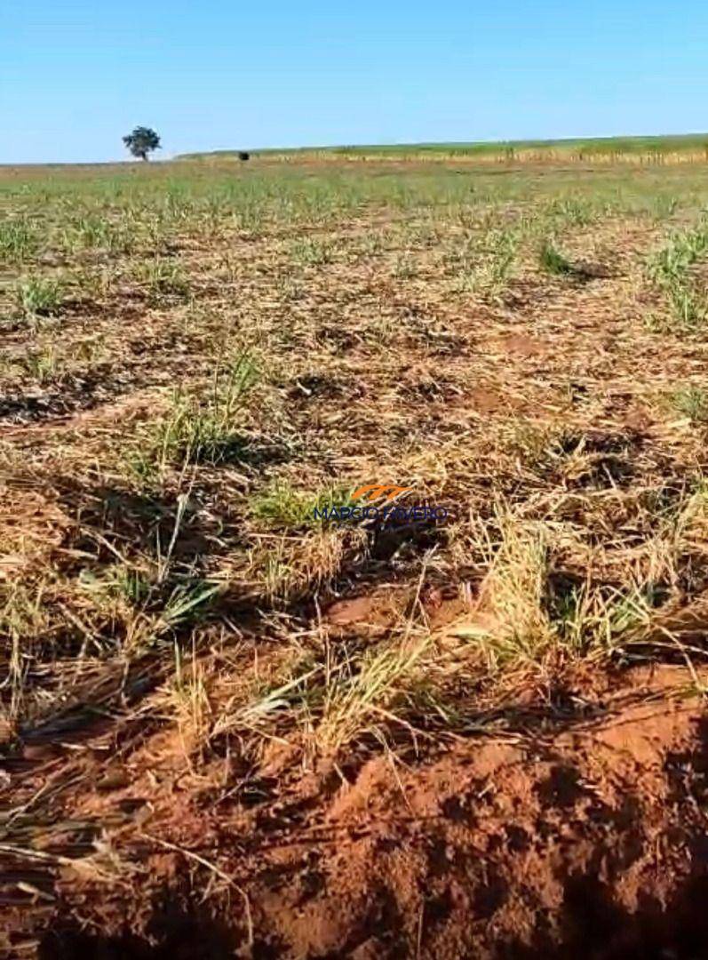 Fazenda, 155 hectares - Foto 1