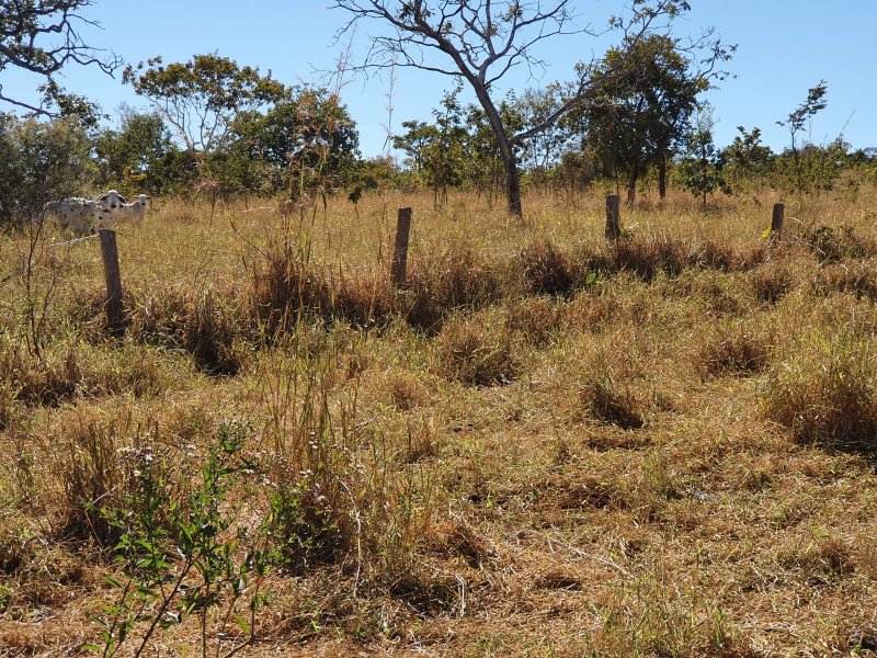 Fazenda à venda, 1613m² - Foto 8