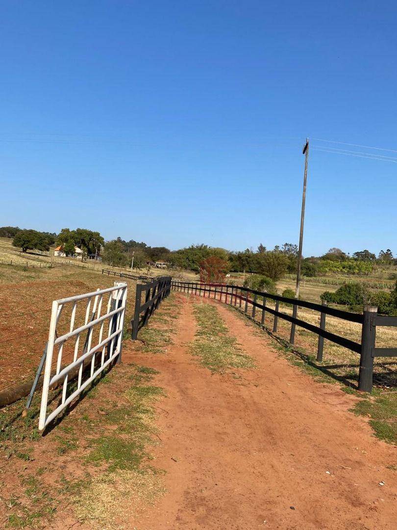 Sítio, 2 hectares - Foto 19