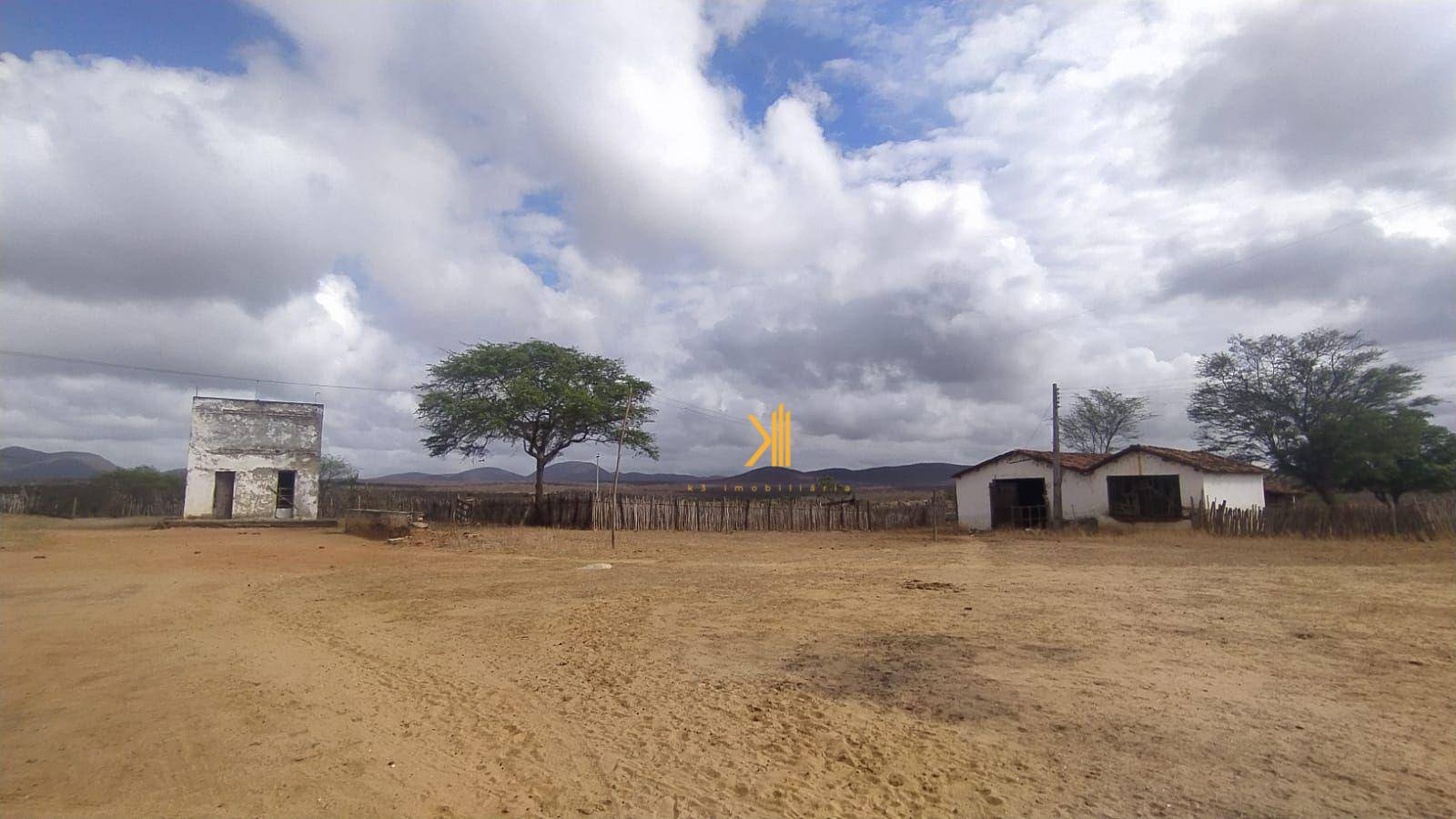 Fazenda-Sítio-Chácara, 2500 hectares - Foto 3