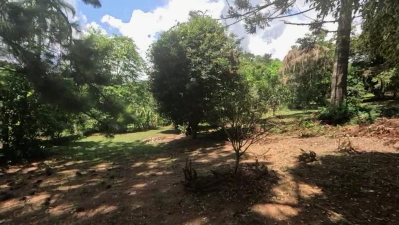 Chácara à venda com 4 quartos, 6100m² - Foto 30