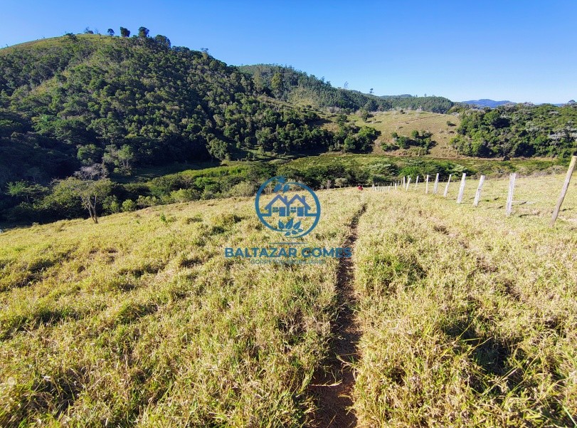 Terreno à venda, 10000m² - Foto 5