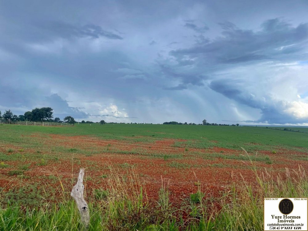 Chácara à venda com 1 quarto, 1500m² - Foto 13