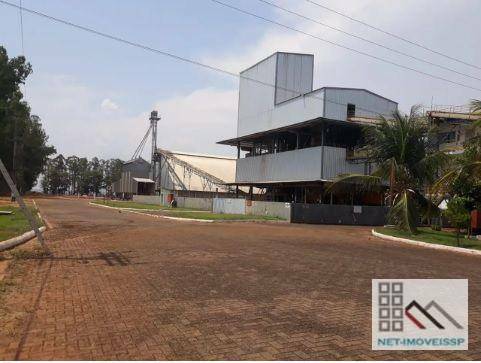 Fazenda à venda com 5 quartos, 500m² - Foto 5