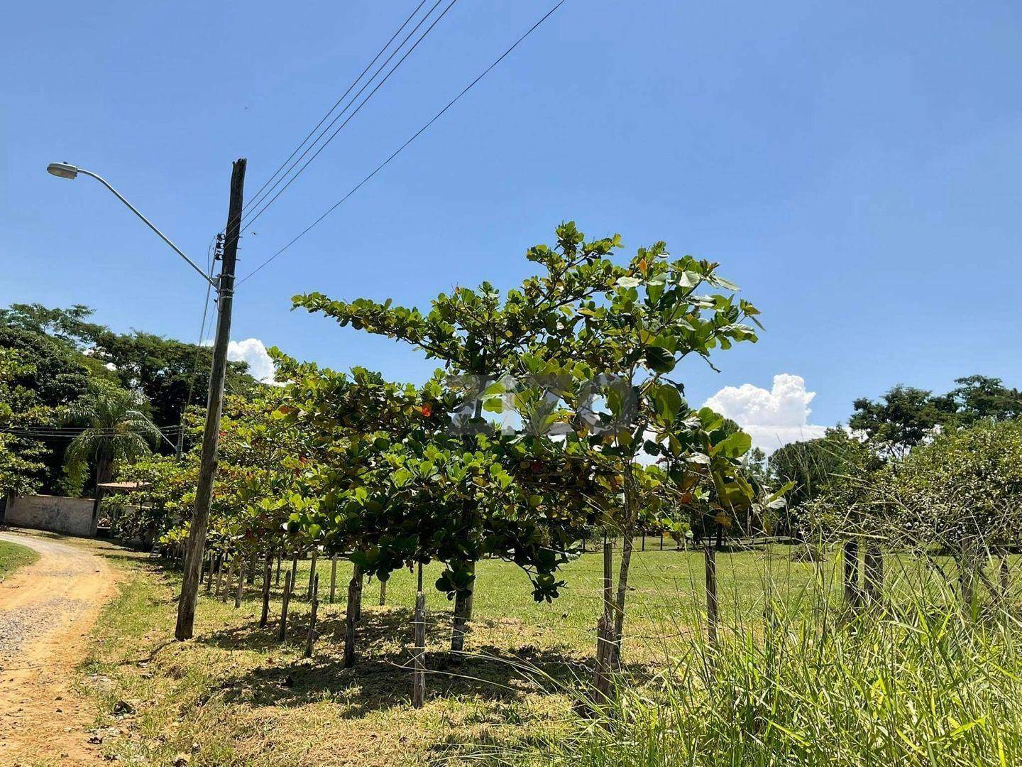 Terreno à venda, 5040M2 - Foto 2