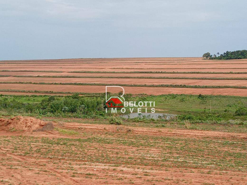 Fazenda-Sítio-Chácara, 1350 hectares - Foto 2