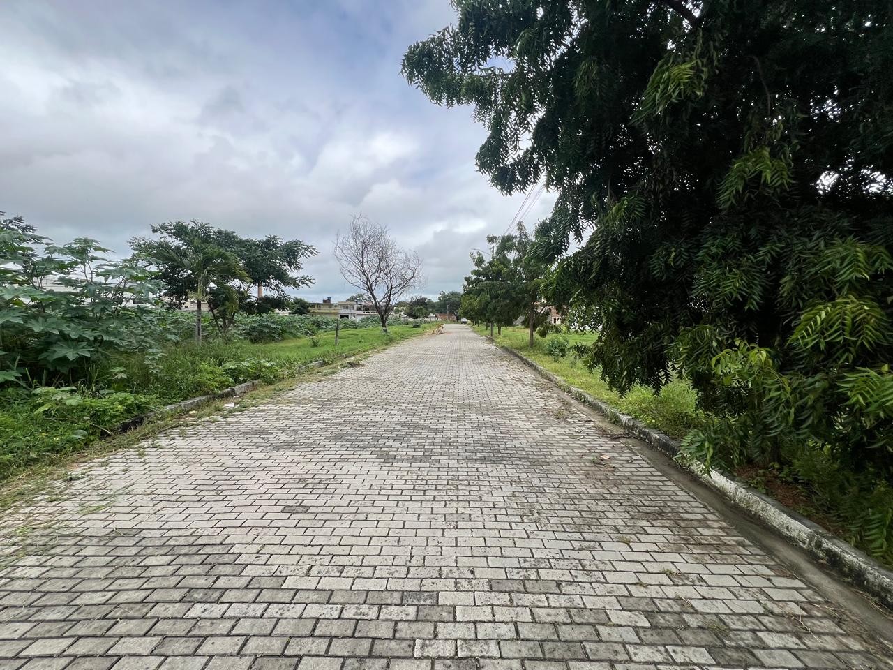 Terreno à venda, 280m² - Foto 5