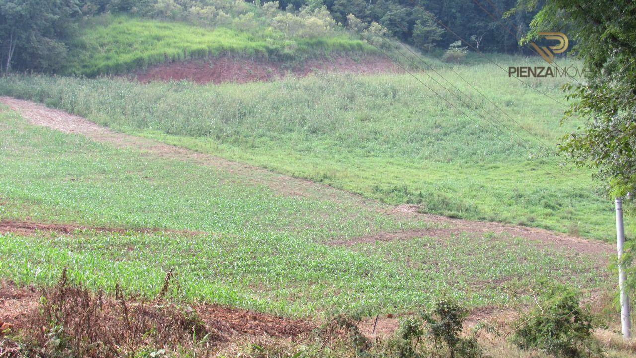 Terreno à venda, 98000M2 - Foto 22